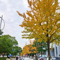 ������ζ��������̨�ݶ��յ��ǵ��