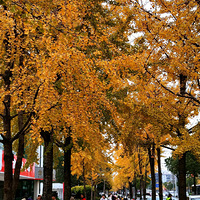 ������ͣ�µ���Ĩ���