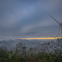 ������ζ����+̨�ݶ����ķ羰