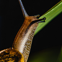 ��ţ10�����㾵����