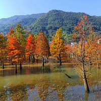 [����ζ��]�����ĺ�����