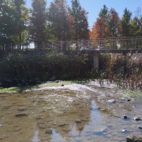 ����Ӱ2022����̨�ݡ��������-20221218-����