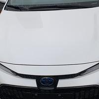 �����ռǡ������Ż���������