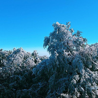 ������ζ������������������Ҳ������