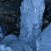 ������ζ����+���»��Ķ�