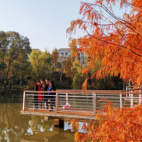 ·������ɽ