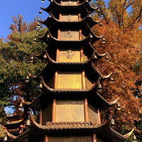 ������ζ����+���չ���������