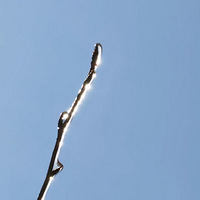 ����Ӱ2022������2022��û��Զ;����������