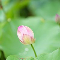 ����Ӱ2022��̨��ɽ�����