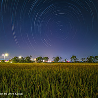 ����Ӱ2022��-��¼��һ��