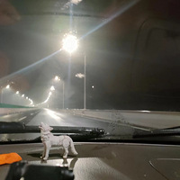 ����Ӱ2022������Ҳ����������17��Сʱ��