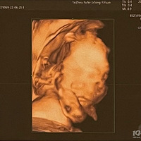 ����������ײ��������������������Ȼ���С�2023�����ռǡ�