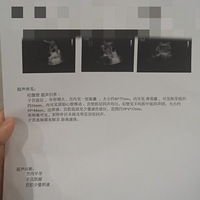 �ƻ��е�С�ϻ���2023�����ռǡ�