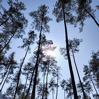 [��Ӱ2022]�����������