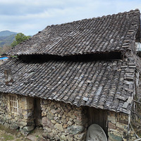 [��Ӱ2022]�Ϸ���