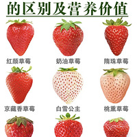 ��ݮƷ�ִ�ȫ��������ݮ�������Ӫ����ֵ��������