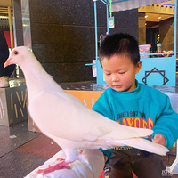 �����ڴ��ޡ����ù㳡�ĺ�ƽ��