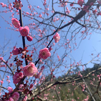 ����Ӱ2022��ȫ��������̨���õ�������ֻ���¼��������