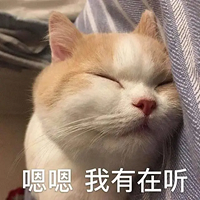 ڼݳҪʲôˣ