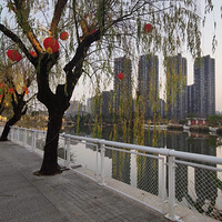 ����Ӱ2023����̨�ݡ������Ӱ�-20230118-����