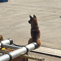 ��������ޡ���èߣ��