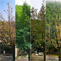 ����Ӱ2022������֮��