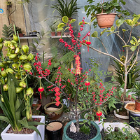 ��һ�δ򿨶�ɽ��԰���ܺ��棡�Ƽ���