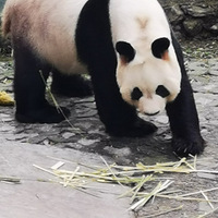 ��������ޡ����������쿴����è��