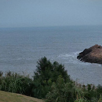 ����Ӱ2022������Ĵ�µ�����������