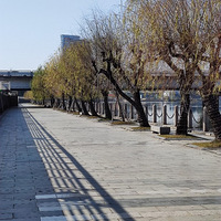 ����Ӱ2023����̨�ݡ�ˮ����԰-20230130-����