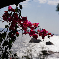 ���������֮��