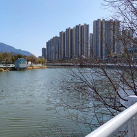 ����Ӱ2023����̨�ݡ���������-20230131-����