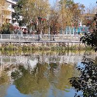 ����Ӱ2023����̨�ݡ������Ϲ�-20230131-����