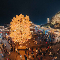 ��������ɽ�˺���Ԫ����