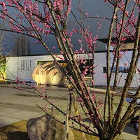 ����Ӱ2023����̨�ݡ��嶴����-20230206-����