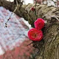 �������������