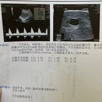 �ڴ��ҵ��ñ���+��2023�����ռǡ�