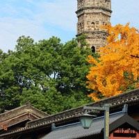 ����Ӱ2022�������ٺ�