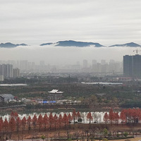 ����Ӱ2023����̨�ݡ�����ˮ��-20230212-����