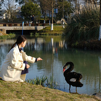 �紺��������־