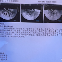 ��̬��������Բ��ϵı仯+��2023�����ռǡ�