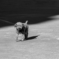 ���þ�ͷ��¼2023