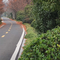 ����Ӱ2023����̨�ݡ�����ˮ·-20230219-����