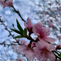 �һ���俪��