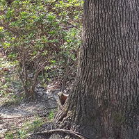 ����Ӱ2023����̨�ݡ���èè��-20230226-����