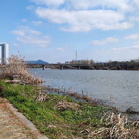 ����Ӱ2023����̨�ݡ������°�-20230226-����