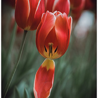 ����㳡�Ļ���