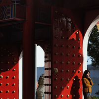 ̨�ݷ������о�Ȼ������һ���������������Ͻ��ǡ��ɸ�������