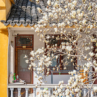 ̨�ݴ�����Ӷ��µ�����������