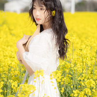 ��̨�ݴ��⡿���������������е�����